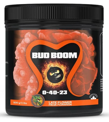 Bud Boom (image for) Bud Boom